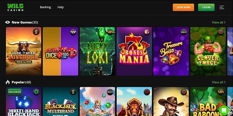 Wild Casino casino screenshot